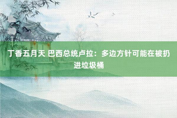 丁香五月天 巴西总统卢拉：多边方针可能在被扔进垃圾桶