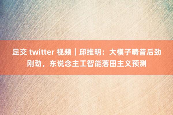 足交 twitter 视频｜邱维明：大模子畴昔后劲刚劲，东说念主工智能落田主义预测