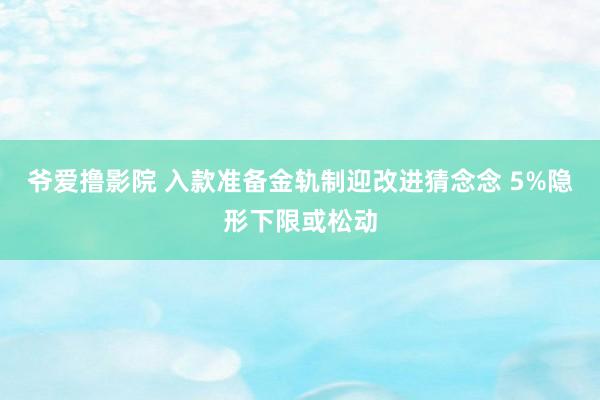 爷爱撸影院 入款准备金轨制迎改进猜念念 5%隐形下限或松动