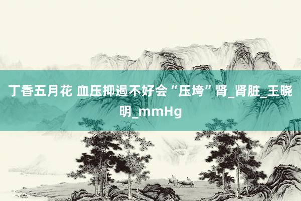 丁香五月花 血压抑遏不好会“压垮”肾_肾脏_王晓明_mmHg