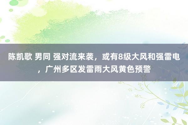 陈凯歌 男同 强对流来袭，或有8级大风和强雷电，广州多区发雷雨大风黄色预警