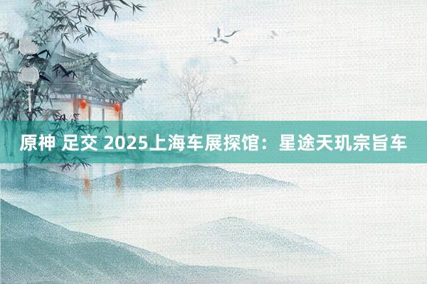 原神 足交 2025上海车展探馆：星途天玑宗旨车