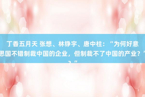 丁香五月天 张想、林铮宇、唐中柱：“为何好意思国不错制裁中国的企业，但制裁不了中国的产业？”