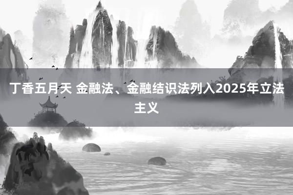 丁香五月天 金融法、金融结识法列入2025年立法主义
