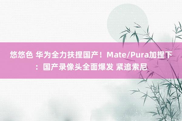 悠悠色 华为全力扶捏国产！Mate/Pura加捏下：国产录像头全面爆发 紧追索尼