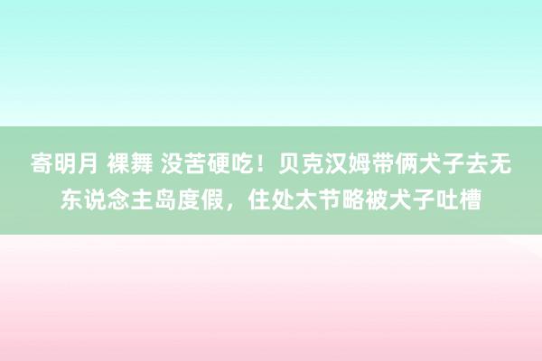 寄明月 裸舞 没苦硬吃！贝克汉姆带俩犬子去无东说念主岛度假，住处太节略被犬子吐槽